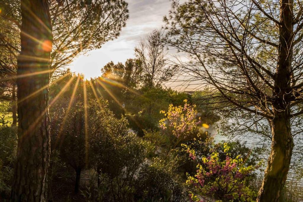 Magnifique Vue Lac Au Golf De Pont-Royal مالمور المظهر الخارجي الصورة